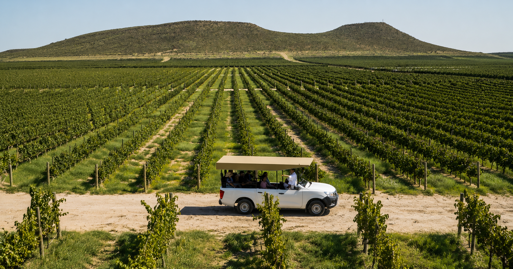 Día Internacional del Vino: etiquetas para celebrar