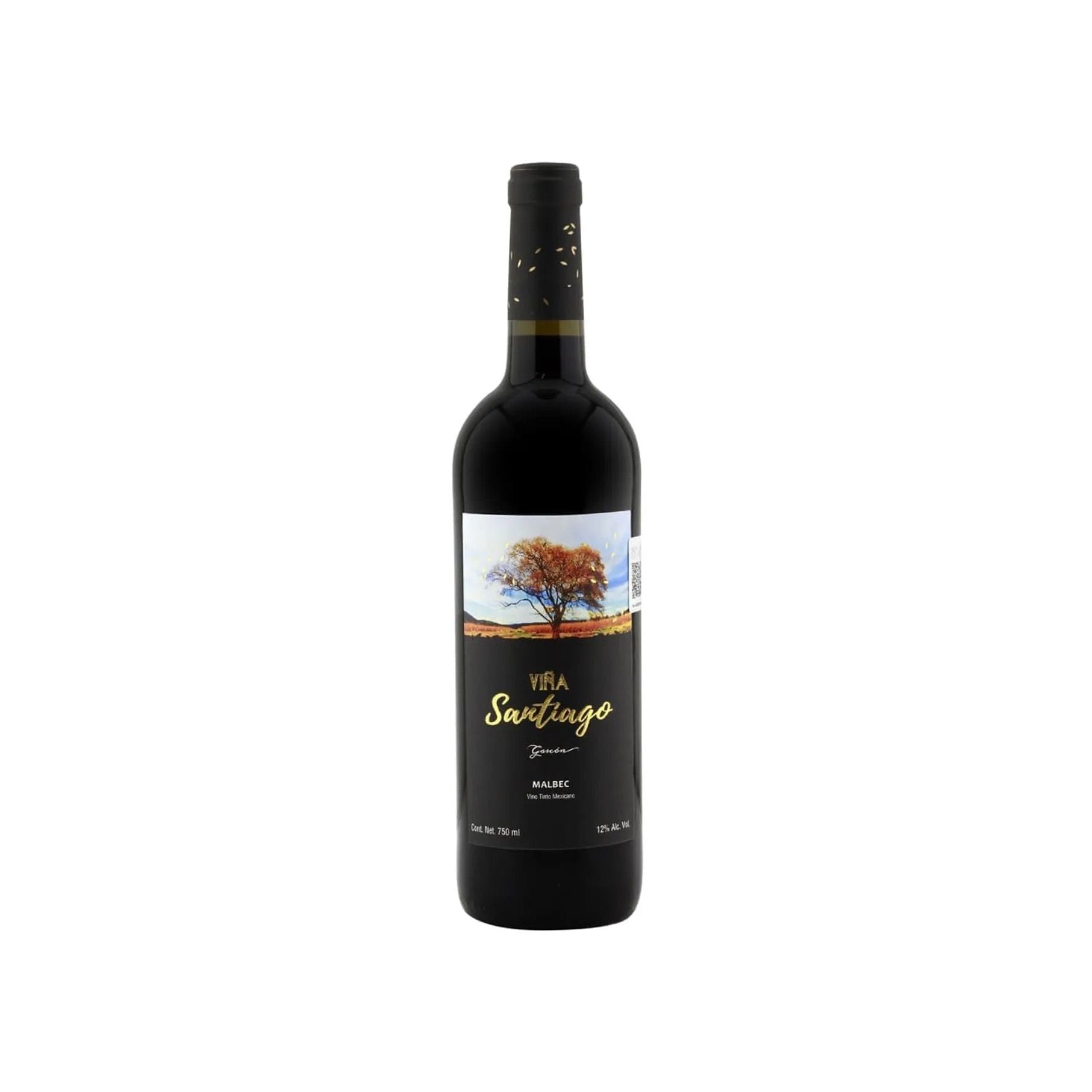 Vino Tinto Viña Santiago Malbec - 750 Ml