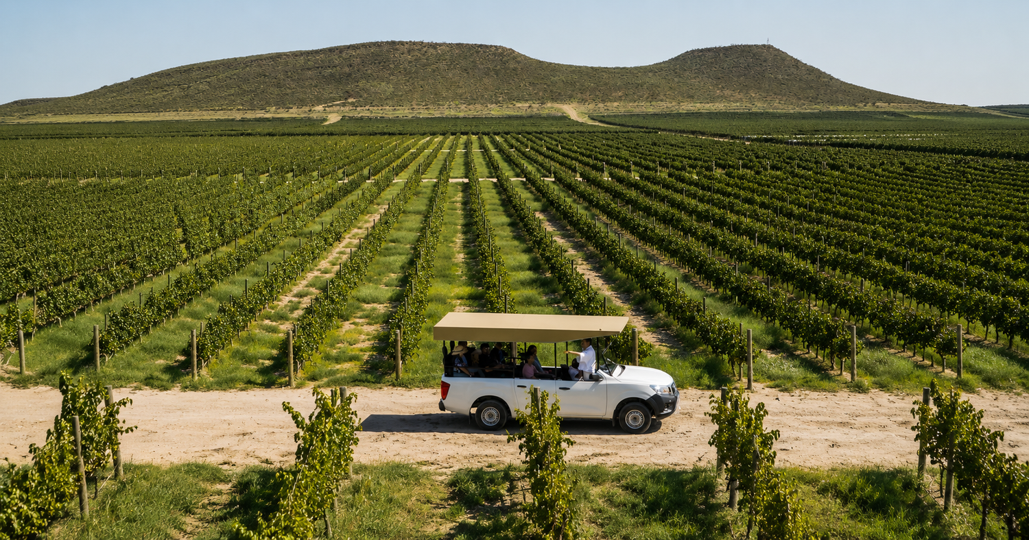 Día Internacional del Vino: etiquetas para celebrar
